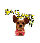 ぴざ＆ぱすた（個別スタンプ：17）