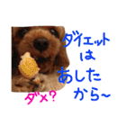 ぴざ＆ぱすた（個別スタンプ：18）