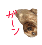ぴざ＆ぱすた（個別スタンプ：19）