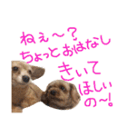 ぴざ＆ぱすた（個別スタンプ：22）
