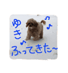 ぴざ＆ぱすた（個別スタンプ：23）