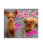 ぴざ＆ぱすた（個別スタンプ：26）
