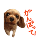 ぴざ＆ぱすた（個別スタンプ：29）