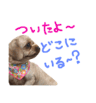 ぴざ＆ぱすた（個別スタンプ：30）