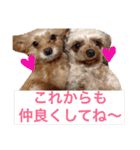 ぴざ＆ぱすた（個別スタンプ：34）