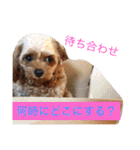 ぴざ＆ぱすた（個別スタンプ：38）