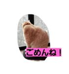 キュウタの独り言③（個別スタンプ：12）