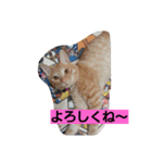 キュウタの独り言③（個別スタンプ：23）