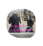 そら＆ぼく（個別スタンプ：7）
