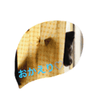実写スタンプ♪ライちゃん（個別スタンプ：8）