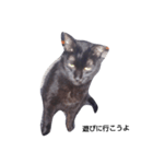 black. cat（個別スタンプ：4）