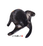black. cat（個別スタンプ：6）