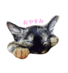 ショッパーとドキン（個別スタンプ：2）