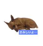 チャチャちゃんのスタンプ（個別スタンプ：2）