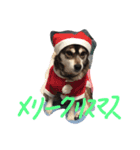 mery christmas（個別スタンプ：1）