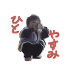 ppokun04（個別スタンプ：11）