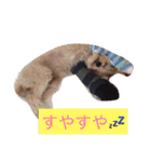 くっそ可愛い（個別スタンプ：1）