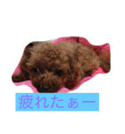くっそ可愛い（個別スタンプ：5）