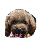 くっそ可愛い（個別スタンプ：14）