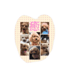 くっそ可愛い（個別スタンプ：16）