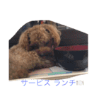 くっそ可愛い（個別スタンプ：18）