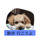 くっそ可愛い（個別スタンプ：19）
