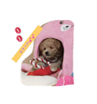 くっそ可愛い（個別スタンプ：27）