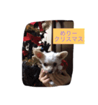 くっそ可愛い（個別スタンプ：29）