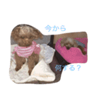 くっそ可愛い（個別スタンプ：32）