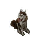 copperminihusky 1（個別スタンプ：9）