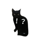 enjoy,Cat.（個別スタンプ：6）
