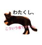 enjoy,Cat.（個別スタンプ：14）