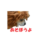 チワワのミルモカⅡ（個別スタンプ：1）