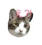 お茶目なミント（個別スタンプ：2）