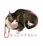 お茶目なミント（個別スタンプ：7）