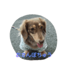 MYNAMEISlucky（個別スタンプ：3）
