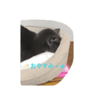 グレ蔵さん（個別スタンプ：10）