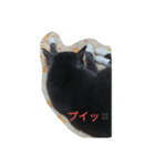 グレ蔵さん（個別スタンプ：11）