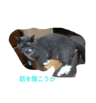 グレ蔵さん（個別スタンプ：26）