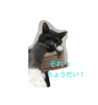 グレ蔵さん（個別スタンプ：35）