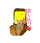 かまとクロ（個別スタンプ：8）