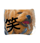 愛犬リズムの気持ち。（個別スタンプ：12）
