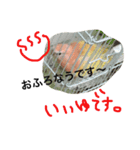 アキクサインコのりゅうのすけ（個別スタンプ：4）
