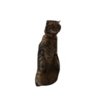 kuru.hota（個別スタンプ：1）