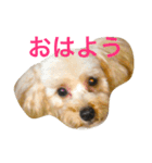ハピラキ！（個別スタンプ：2）