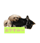 ハピラキ！（個別スタンプ：3）