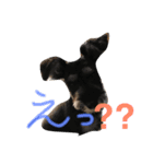 ハピラキ！（個別スタンプ：4）