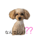 ハピラキ！（個別スタンプ：5）