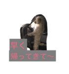 ハピラキ！（個別スタンプ：7）