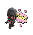 Black Mortal Dog（個別スタンプ：1）
